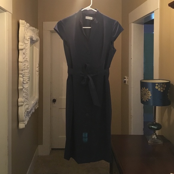 Stunning blue Calvin Klein button up tie dress