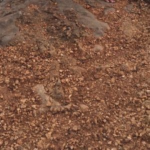 Meet your Posher, Kale