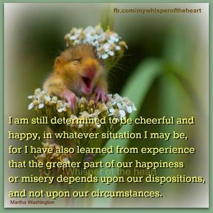 Meet your Posher, Yvette