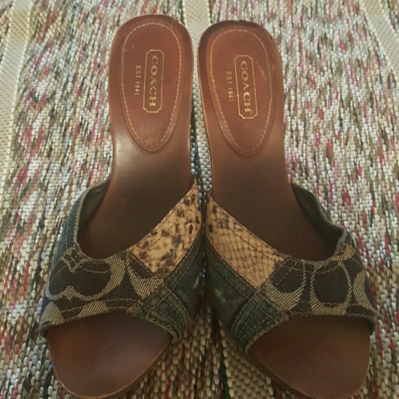 COACH Blue Jean & Snake Skin  MULES