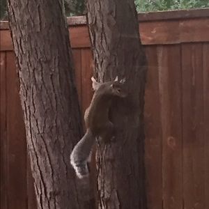 Meet your Posher, Belinda