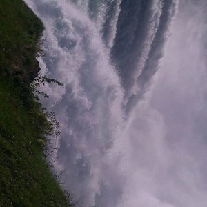 Meet your Posher, Magda