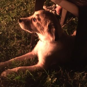 Meet your Posher, Quinn