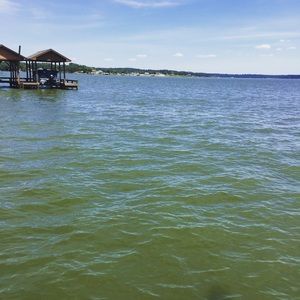 Meet your Posher, Ashtyn