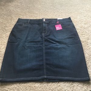 Lane Bryant Denim Skirt