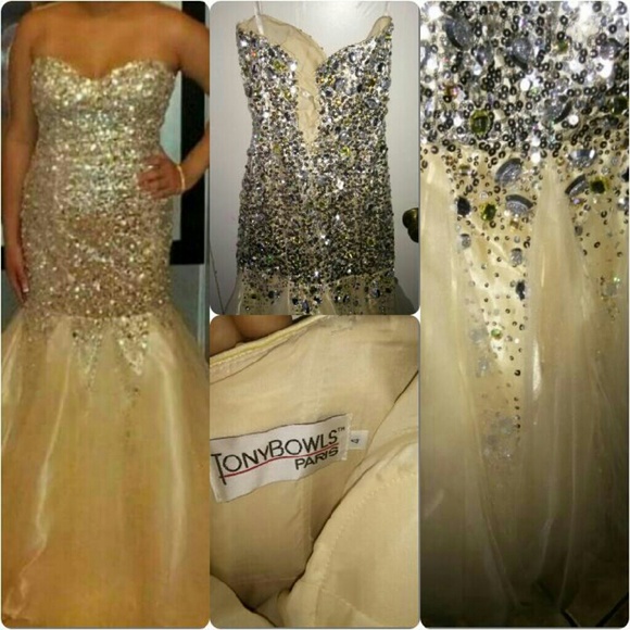 HCO/Prom/Wedding/Quince?era Dress
