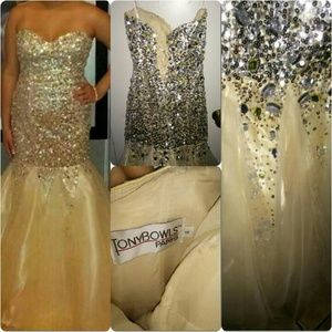 HCO/Prom/Wedding/Quince?era Dress