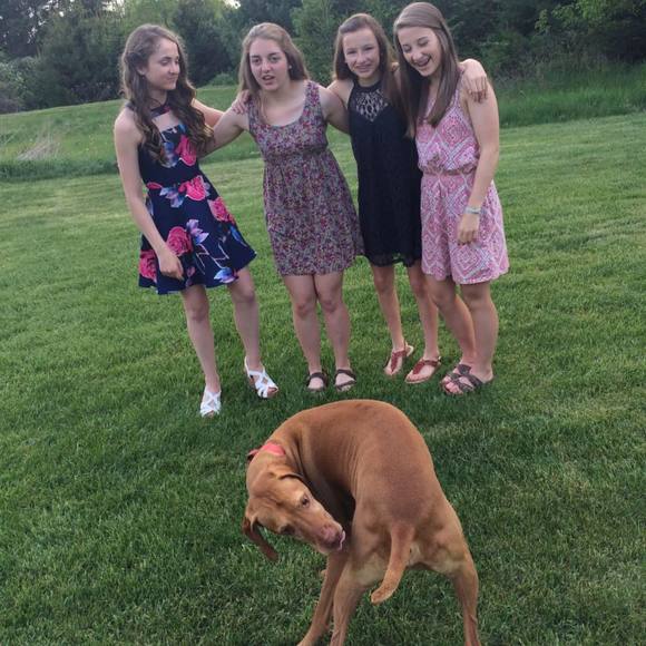 Meet your Posher, Sammie