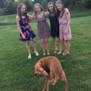 Meet your Posher, Sammie