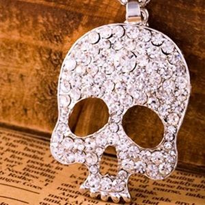 🍒JUST IN🍒 Gorgeous Crystal Skull Necklace!