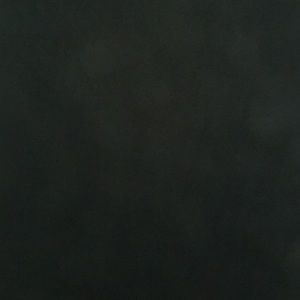 Meet your Posher, Kasheema