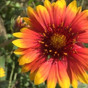 Meet your Posher, Kalina