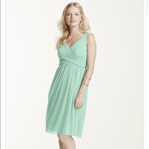 DAVID'S BRIDAL bridesmaid dress.