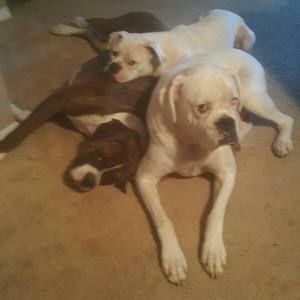 Meet your Posher, Casie