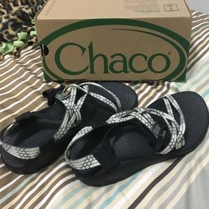 ZX1 classic chacos in light beam