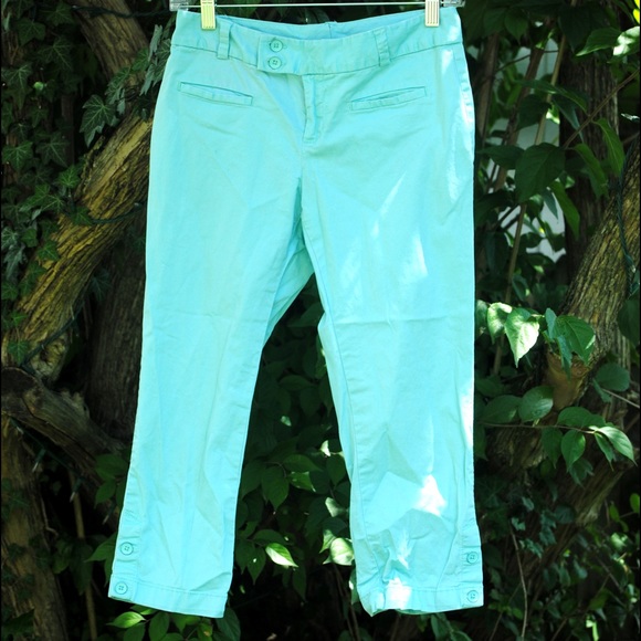 Ann Taylor Loft size 2 Capri pants