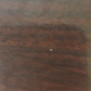 Meet your Posher, Bertha