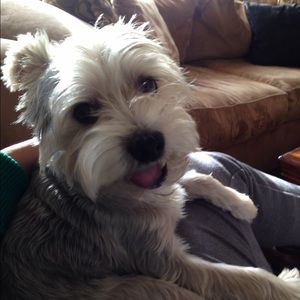 Meet your Posher, Michele