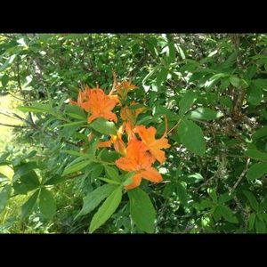 Meet your Posher, Doreen