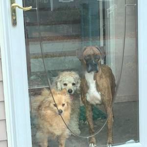 Meet your Posher, Nancy