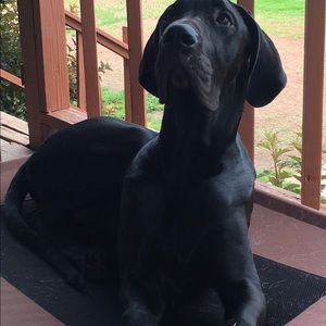 Meet your Posher, Diane