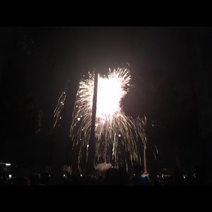 Meet your Posher, Natasha