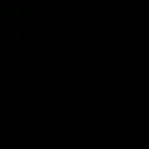 Meet your Posher, Arneesha