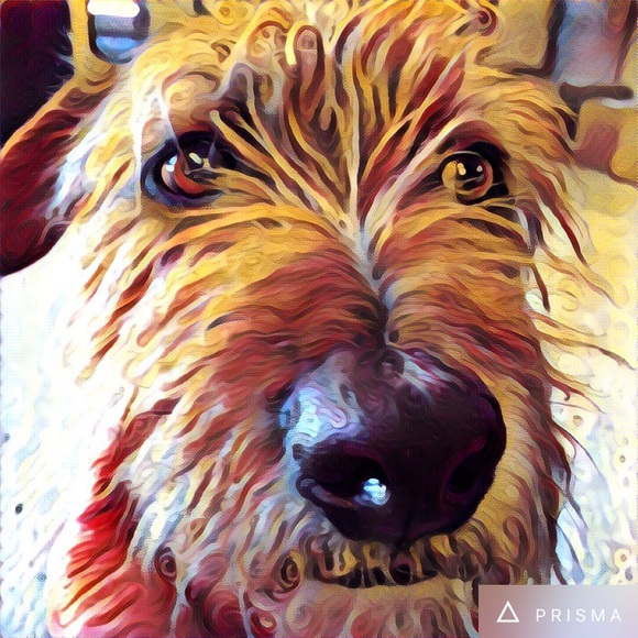 Meet your Posher, Vicky