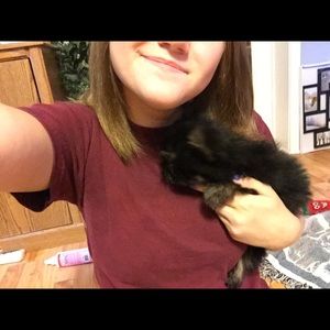 Meet your Posher, Victoria