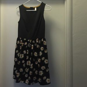 Grey and black sunflower seeds