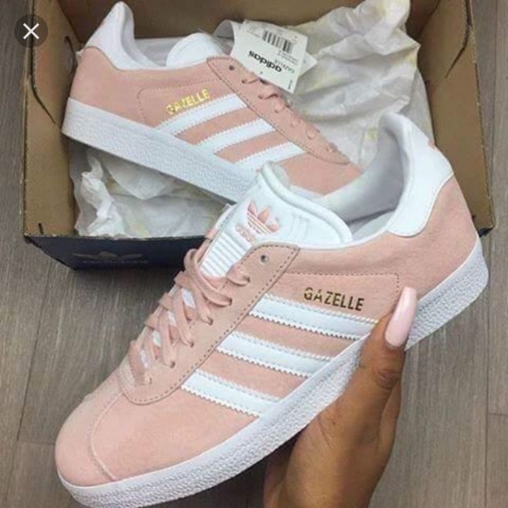 Meet your Posher, Asia