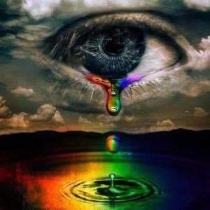 Meet your Posher, Freda