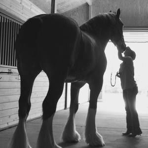 Meet your Posher, Haley