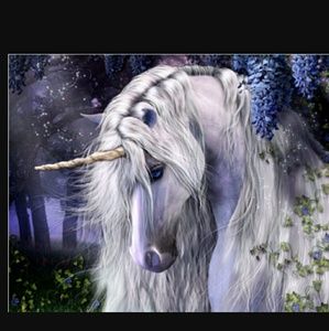 Meet your Posher, Aly