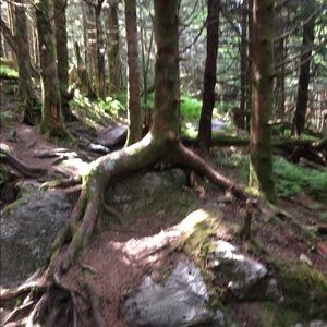 Meet your Posher, Robbie