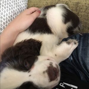 Meet your Posher, Emma