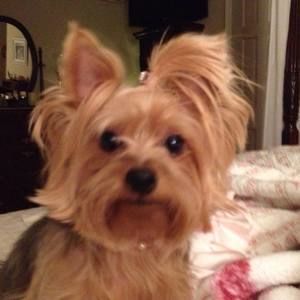 Meet your Posher, Donna