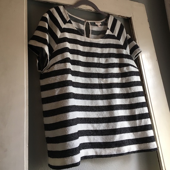 Fun shirt!
