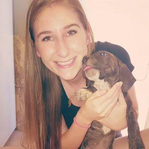 Meet your Posher, Dylan