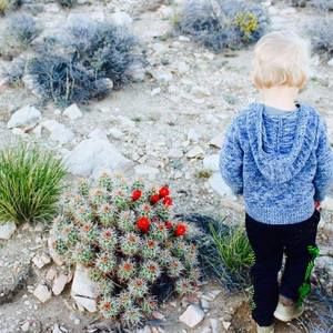 Meet your Posher, Suzanne