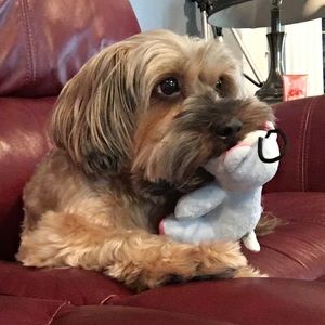 Meet your Posher, Tina