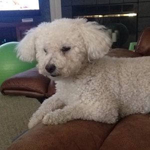 Meet your Posher, Jennifer