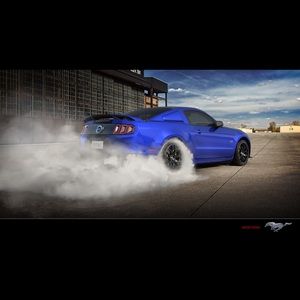 Meet your Posher, George