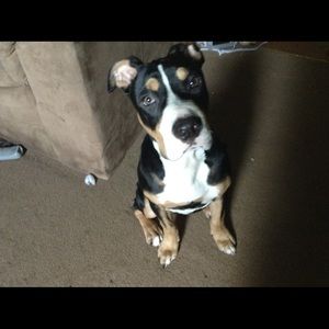 Meet your Posher, Deborah