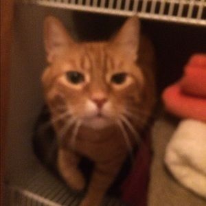 Meet your Posher, Heather