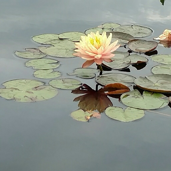 Meet your Posher, Trinity