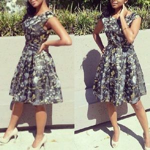 Elegant Skater Dress