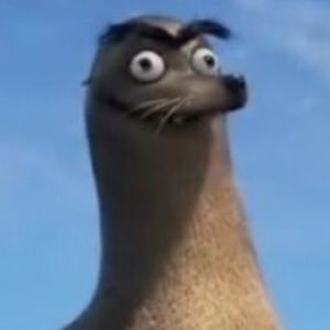 Meet your Posher, Celeste