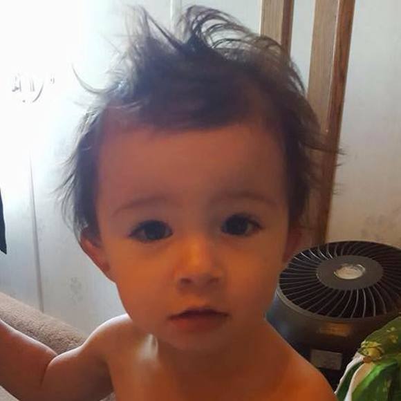 Meet your Posher, Shelly - Picture 1 of 1