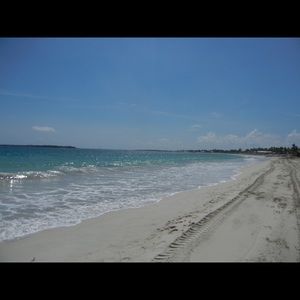 Meet your Posher, Annette